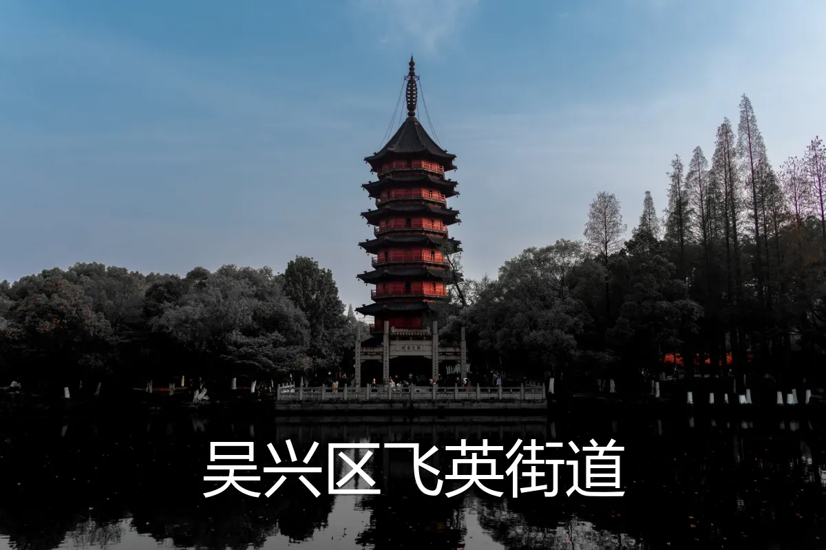 吴兴区飞英街道